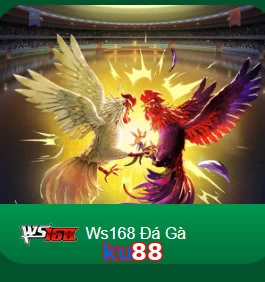 ku88